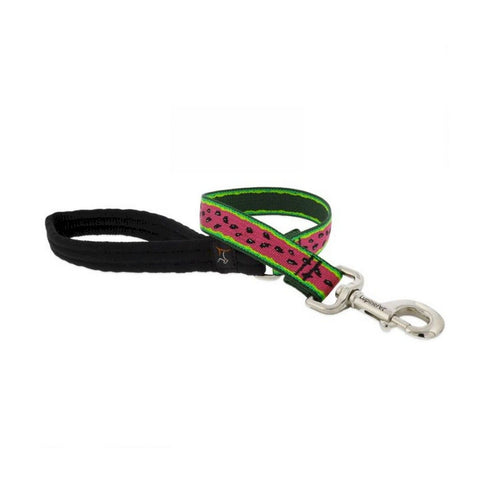 Dog Leash 1" Wide X 4' Long Watermelon - Poudre Pet and Feed Supply