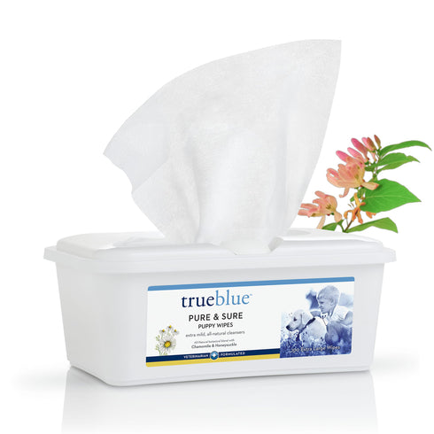 TrueBlue Puppy Wipes 100ct - Poudre Pet and Feed Supply