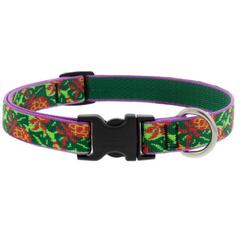 Lupine Adjustable Dog Collar 3/4" Wide x 15"-25" Pina Colada - Poudre Pet and Feed Supply