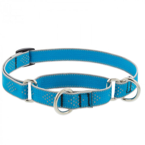 Lupine Dog Collar Martingale 3/4" Wide X 14"-20" Neck Size Blue Diamond - Poudre Pet and Feed Supply