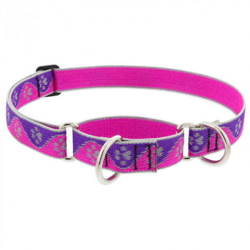 Lupine Dog Collar Martingale 3/4" Wide X 10"-14" Neck Size Pink Paws - Poudre Pet and Feed Supply