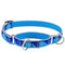 Lupine Dog Collar Martingale 3/4" Wide X 10"-14" Neck Size Blue Paws - Poudre Pet and Feed Supply