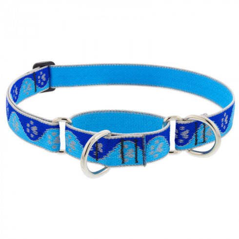 Lupine Dog Collar Martingale 1" Wide X 15"-22" Neck Size Blue Paws - Poudre Pet and Feed Supply