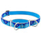 Lupine Dog Collar Martingale 1" Wide X 15"-22" Neck Size Blue Paws - Poudre Pet and Feed Supply