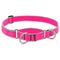 Lupine Dog Collar Martingale 1" Wide X 15"-22" Neck Size Pink Diamond - Poudre Pet and Feed Supply