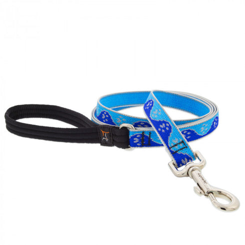Lupine Dog Leash 3/4" Width X 6' Length High Lights Blue Paws - Poudre Pet and Feed Supply
