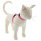 Lupine Reflective H-Style Cat Harness 1/2" Wide 9"-14" Girth Pink Diamond - Poudre Pet and Feed Supply