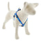 Lupine Reflective Step In Dog Harness 3/4" Wide 15"-21" Girth Blue Paws - Poudre Pet and Feed Supply