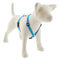 Lupine Reflective Roman Dog Harness 3/4" Wide 12"-20" Girth Blue Diamond - Poudre Pet and Feed Supply