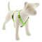 Lupine Reflective Roman Dog Harness 3/4" Wide 12"-20" Girth Green Diamond - Poudre Pet and Feed Supply