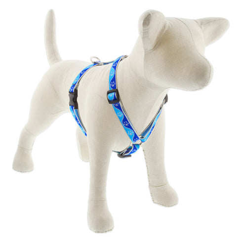 Lupine Reflective Roman Dog Harness 3/4" Wide 12"-20" Girth Blue Paws - Poudre Pet and Feed Supply