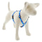 Lupine Reflective Roman Dog Harness 3/4" Wide 12"-20" Girth Blue Paws - Poudre Pet and Feed Supply