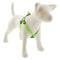 Lupine Reflective Step In Dog Harness 3/4" Wide 15"-21" Girth Green Diamond - Poudre Pet and Feed Supply