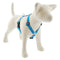 Lupine Reflective Roman Dog Harness 1" Wide 24"-38" Girth Blue Diamond - Poudre Pet and Feed Supply