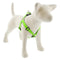 Lupine Reflective Step In Dog Harness 1" Wide 19"-28" Girth Green Diamond - Poudre Pet and Feed Supply