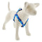 Lupine Reflective Step In Dog Harness 1" Wide 24"-38" Girth Size Blue Paws - Poudre Pet and Feed Supply