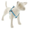 Lupine Holiday Step-In 3/4" Wide 20"-30" Girth Size Penguin Party Dog Harness - Poudre Pet and Feed Supply