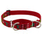 Lupine Martingale Training Collar 1" Wide 19"-27" Neck Size Happy Holidays Red - Poudre Pet and Feed Supply