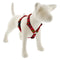 Lupine Roman Dog Harness 1" Wide 24"-38" Girth Happy Holidays Red - Poudre Pet and Feed Supply