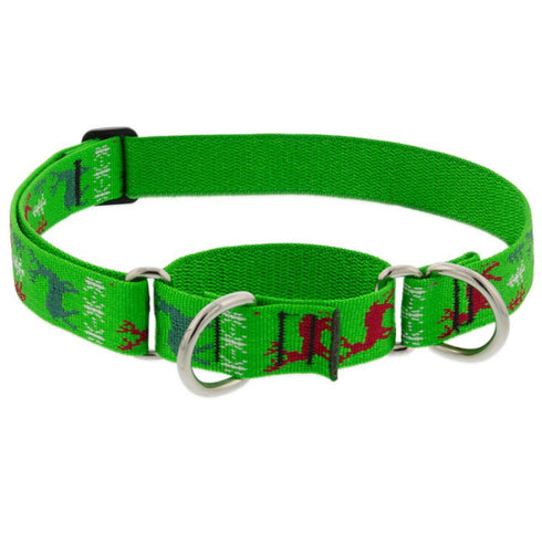 Lupine Martingale Training Dog Collar 1" Wide 15"-22" Neck Size Happy Holidays Green - Poudre Pet and Feed Supply