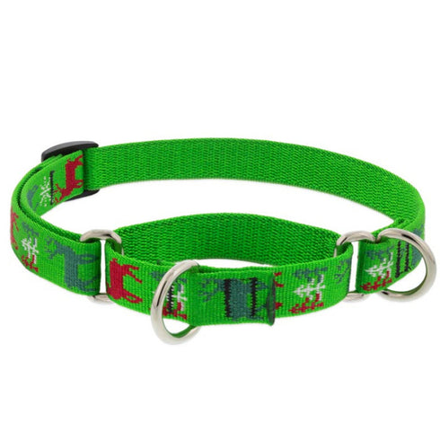 Lupine Martingale Training Dog Collar 3/4" Wide 10"-14" Neck Size Happy Holidays Green - Poudre Pet and Feed Supply