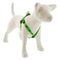 Lupine Holiday Designs Step In 3/4" Wide 20"-30" Girth Size Happy Holidays Green Dog Harness - Poudre Pet and Feed Supply