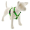 Lupine MicroBatch Roman Dog Harness 1" Wide 24"-38" Girth Size Happy Holidays Green - Poudre Pet and Feed Supply