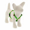 Lupine Holiday Designs Roman 1/2" Wide 9"-14" Girth Size Happy Holidays Green Dog Harness - Poudre Pet and Feed Supply