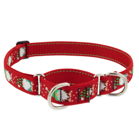 Lupine Martingale Training Dog Collar 1" Wide 15"-22" Neck Size Gnomes - Poudre Pet and Feed Supply