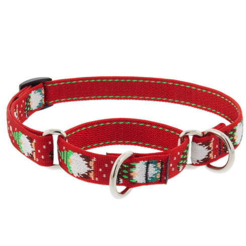 Lupine Martingale Training Dog Collar 3/4" Wide 10"-14" Neck Size Gnomes - Poudre Pet and Feed Supply