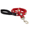 Lupine Dog Leash 1" Wide 4' Length Gnomes - Poudre Pet and Feed Supply
