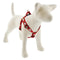 Lupine MicroBatch Step In Dog Harness 1" Wide 19"-28" Girth Size Gnomes - Poudre Pet and Feed Supply