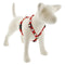 Lupine MicroBatch Roman Dog Harness 3/4" Wide 14"-24" Girth Size Gnomes - Poudre Pet and Feed Supply