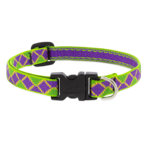 LUPINE MicroBatch Dog Collar 1/2" Wide 10"-16" Neck Size Jester - Poudre Pet and Feed Supply