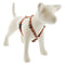 LUPINE MicroBatch Roman Dog Harness 3/4" Wide 20"-32" Girth Size Giraffes - Poudre Pet and Feed Supply