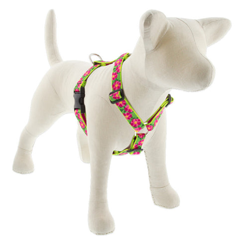 LUPINE Roman Dog Harness 1" Wide 20"-32" Girth Size Petunias - Poudre Pet and Feed Supply
