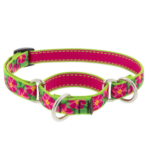 LUPINE Martingale Training Dog Collar 3/4" Wide 14"-20" Neck Size Petunias - Poudre Pet and Feed Supply