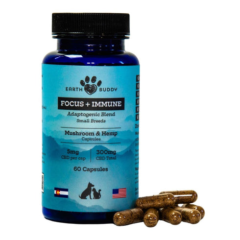 Earth Buddy Focus + Immune-Mushroom & Hemp Capsules for Cats & Small Breed Dogs 60 Capsules 5mg - Poudre Pet and Feed Supply
