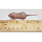 PERFECT PREY Frozen Mice Fuzzy - Poudre Pet and Feed Supply
