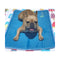 The Green Pet Shop Cool Pet Pad Small - Poudre Pet and Feed Supply