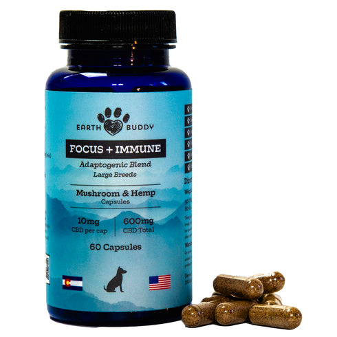 Earth Buddy Focus + Immune-Mushroom & Hemp 60 Capsules for Large Breeds - Poudre Pet and Feed Supply