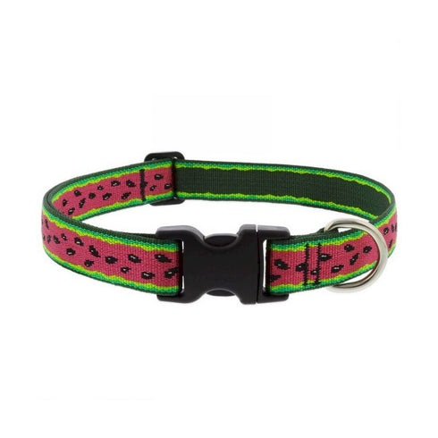 Lupine Adjustable Collar 1" Wide X 16-28" Neck Size Watermelon - Poudre Pet and Feed Supply