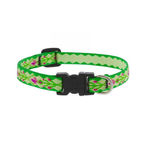 Lupine Adjustable Collar 1/2" Wide X 8-12" Neck Size Scottish Thistle - Poudre Pet and Feed Supply