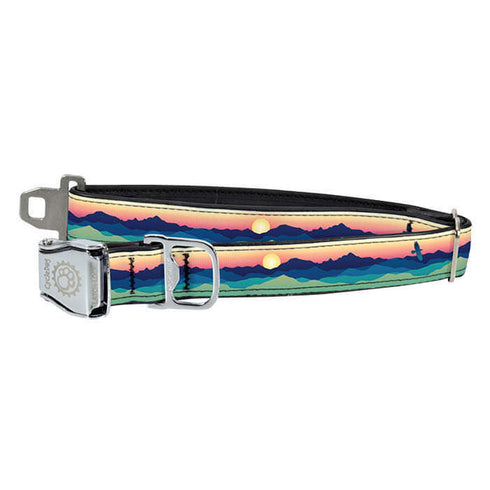 Cycle Dog Eagle Sunrise Medium Dog Collar - Poudre Pet and Feed Supply