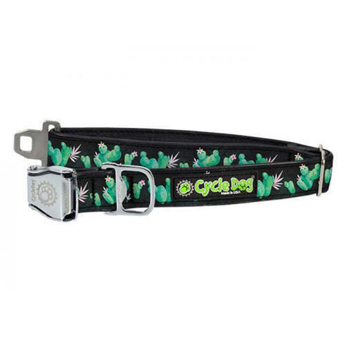 Cycle Dog Cactus Medium Dog Collar - Poudre Pet and Feed Supply