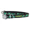 Cycle Dog Cactus Medium Dog Collar - Poudre Pet and Feed Supply