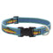 Lupine Adjustable Dog Collar 1" Wide X 25"-31" Neck Size Big Fish - Poudre Pet and Feed Supply