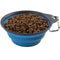 Dexas Pets Collapsible Travel Cup Pro Blue 2 Cup - Poudre Pet and Feed Supply