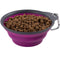 Dexas Pets Collapsible Travel Cup Fuchsia 2 Cup - Poudre Pet and Feed Supply