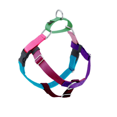 2 Hounds Design Jellybean Sugar Freedom No-Pull Dog Harness 1" Large 28"-32" - Poudre Pet and Feed Supply